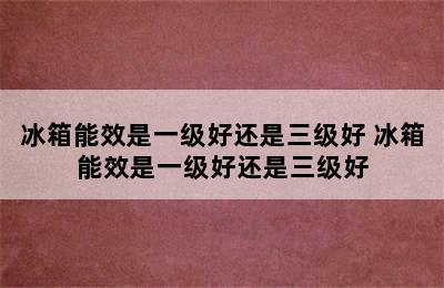 冰箱能效是一级好还是三级好 冰箱能效是一级好还是三级好